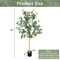 Tall Artificial Eucalyptus Plant 5.5ft with Silver Dollar Leaves